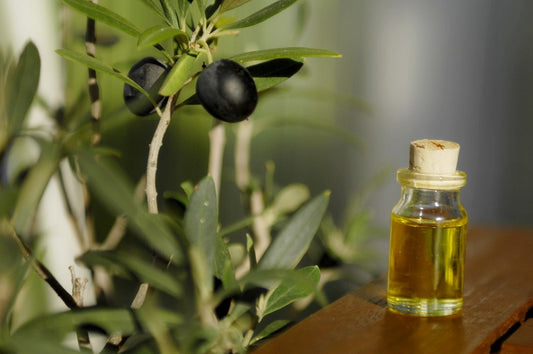 Does Olive Leaf Extract Speed Illness Recovery?