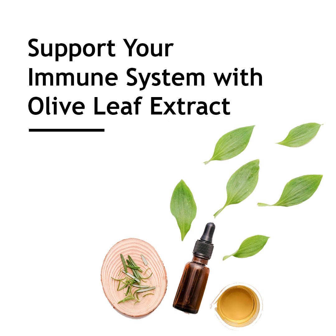 Support your immune system with Olive Leaf Extract