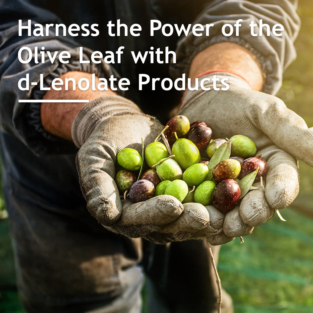 Harness the power of the olive leaf with d-Lenolate products