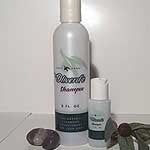 Oliverd'e® Olive Leaf Extract Shampoo - Wellness Works